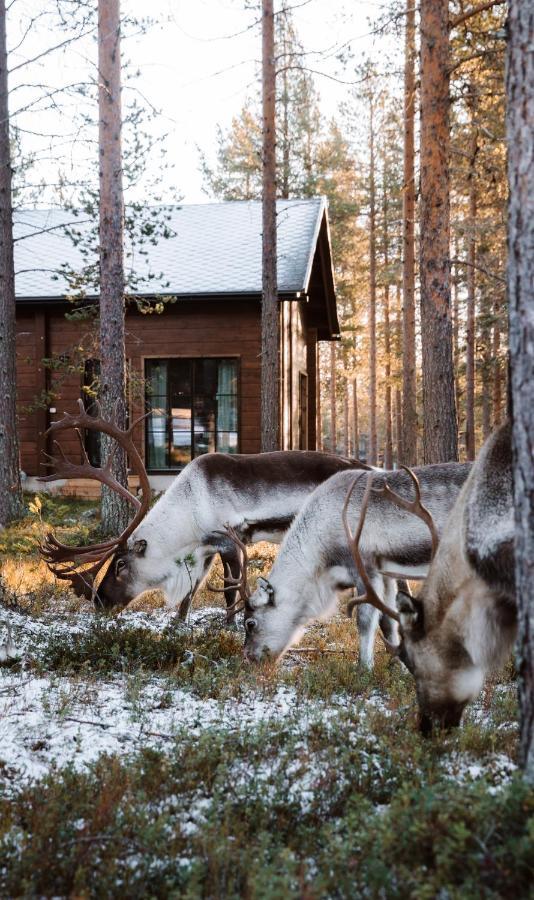 Raanakka House - Premium Villa At Леви Экстерьер фото